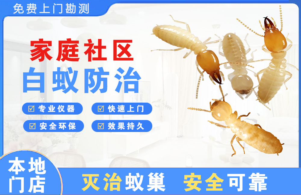 安吉家庭社区白蚁防治