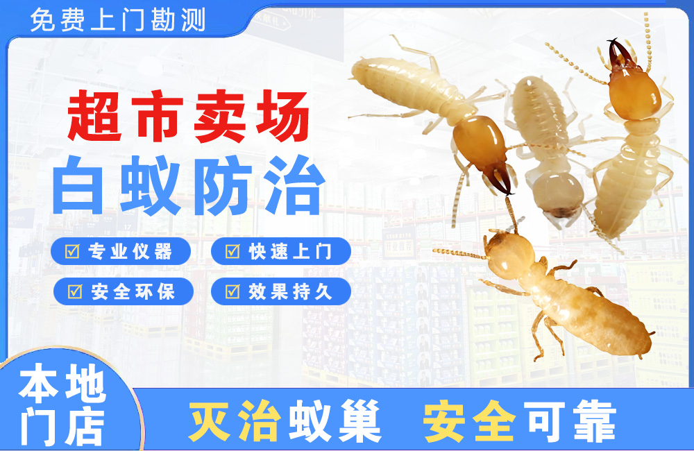 安吉超市卖场白蚁防治