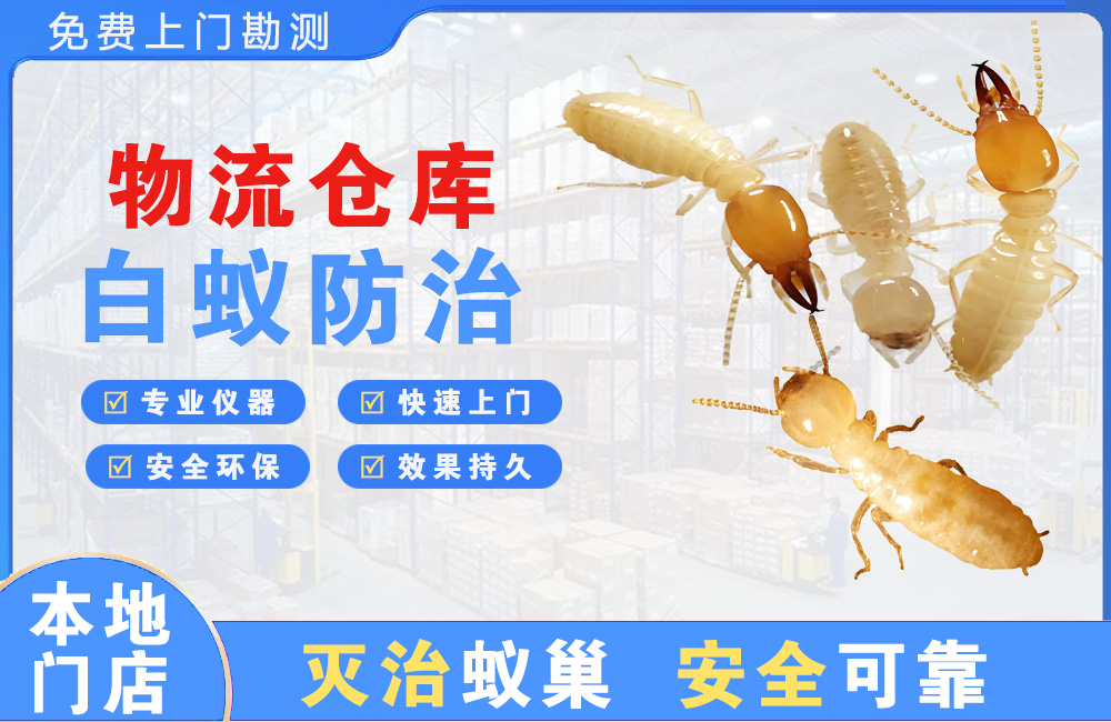 安吉物流仓库白蚁防治