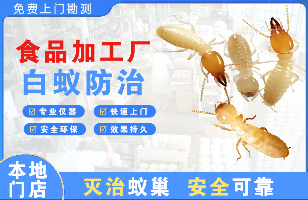 安吉食品加工厂白蚁防治