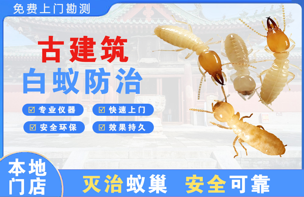 安吉古建筑白蚁防治