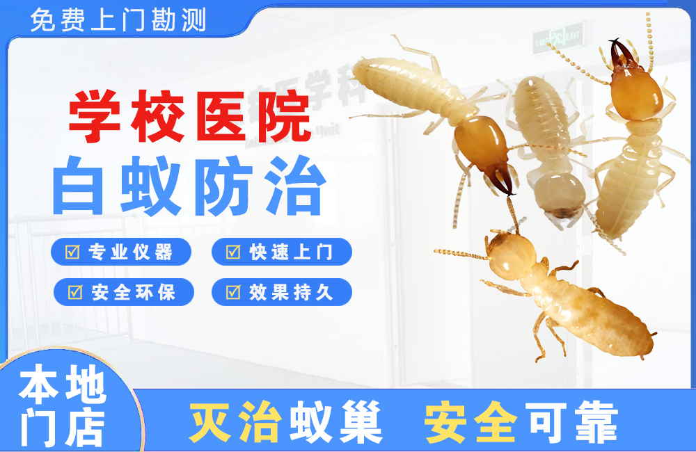 安吉学校医院白蚁防治