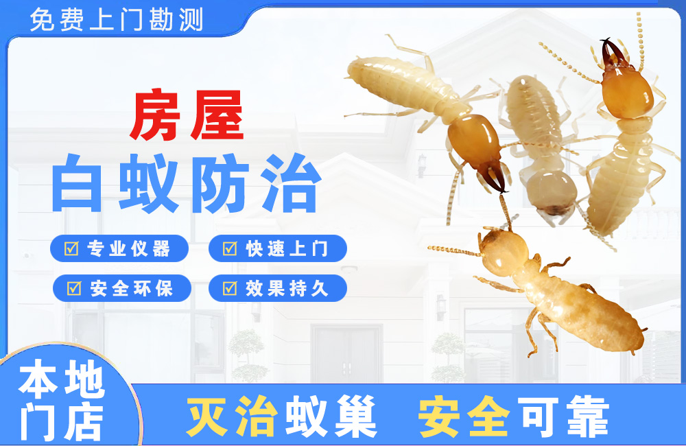 安吉房屋白蚁防治