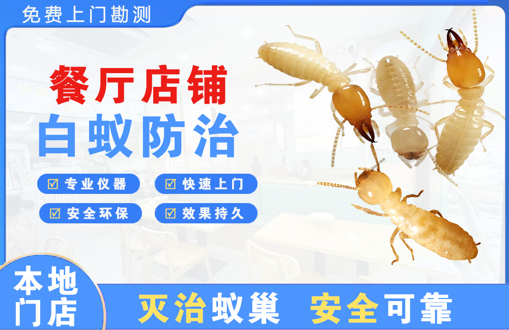 安吉餐厅店铺白蚁防治